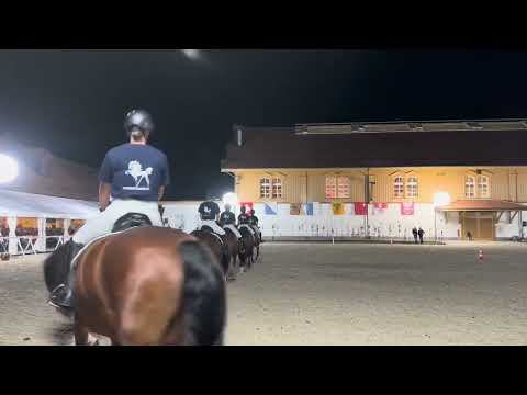 Reitstall Bühl YouTube-Vdeominiatur 18