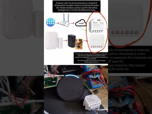 Automação YouTube #3