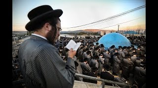 זכרנו לחיים  - תולדות אהרון