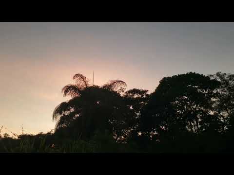Jack DeJohnette, John Abercrombie, Collin Walcott & Naná Vasconcelos, Woodstock (1981)