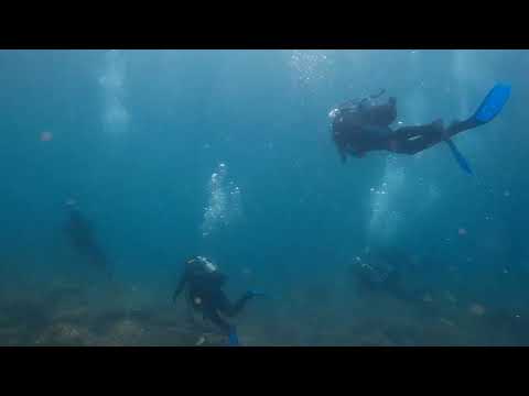 2022 0518 113247 062