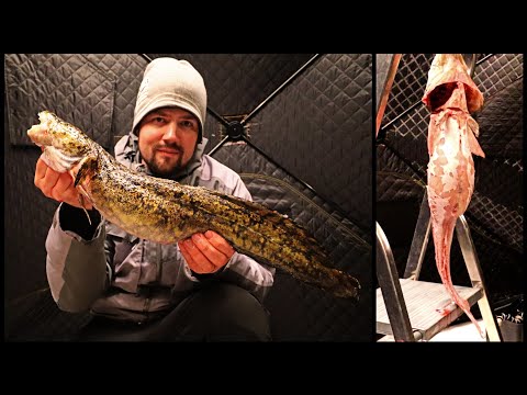 MADETTA VIRTAVESISTÄ - PARAS TYYLI NYLKEÄ MADE