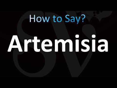 How to Pronounce Artemisia (CORRECTLY!)