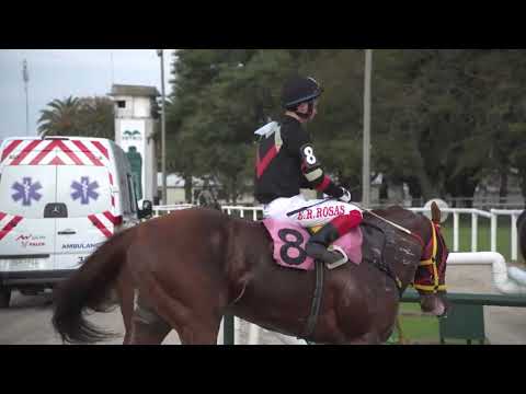 230721 c02 RIOBRAVO (BRZ)