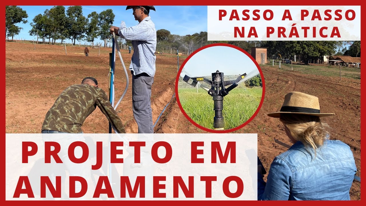 PROJETO de PASTEJO ROTACIONADO e IRRIGADO EM ANDAMENTO #PARTE1