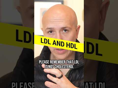 This Is HDL And LDL | Difference Between LDL AND HDL