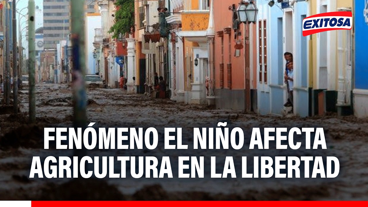 🔴🔵 Fenómeno El Niño en Perú está afectando la producción agrícola en La Libertad