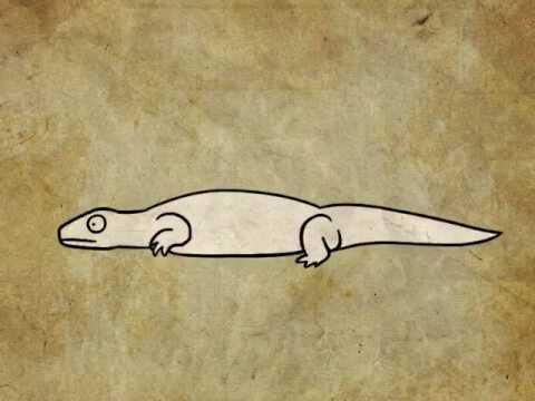 魚から恐竜へ: アニメーションの練習