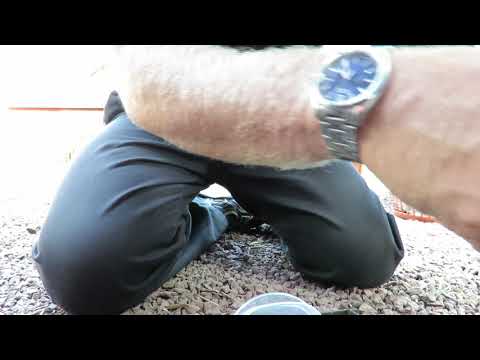 Räddar en fladdermus