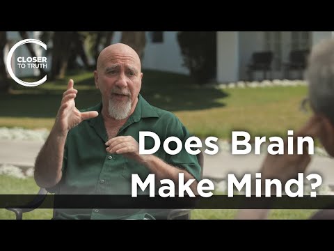Stuart Hammerof - Does Brain Make Mind?