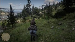 Red Dead Redemption 2 Horse Thief
