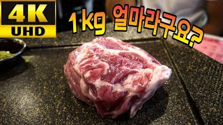 ステミナシクダン