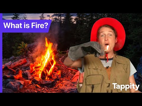 What is Fire? | Chemistry for Kids | Ask Tappity: Science Questions & Answers