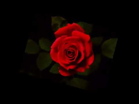 O Love of God Most Full #77 - SDA Hymnal