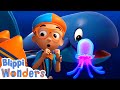 Blippi Wonders Ocean Sea Creatures Blippi Animated Series Cartoons For Kids