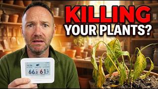 Is Your Home Killing Your Plants? Find Out with This..
