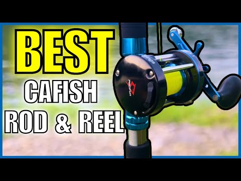 THE ULTIMATE Catfish Rod & Reel!!!(Piscifun Lumicat & Piscifun Chaos XS)