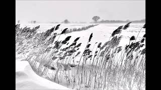 Totem - Like Some Snow White Marble Eyes (Summoning Cover)