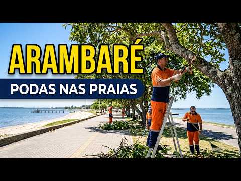 PREFEITURA DE ARAMBARÉ REALIZA LEVANTAMENTOS DE COPAS DAS ÁRVORES DAS PRAIAS CALÇADÃO E COSTA DOCE 