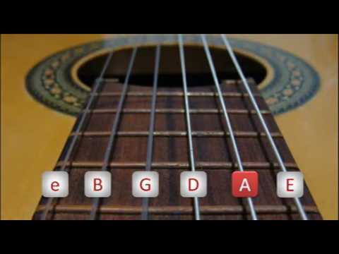 Getulio Salvador- Afinação Diapasão