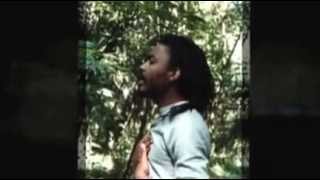 Walker Dub - Junia Walker All Stars