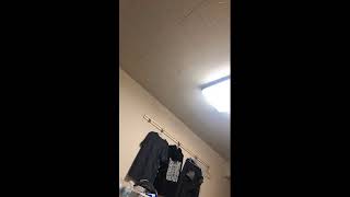 Live Stream - Cameleon Live for iPhone