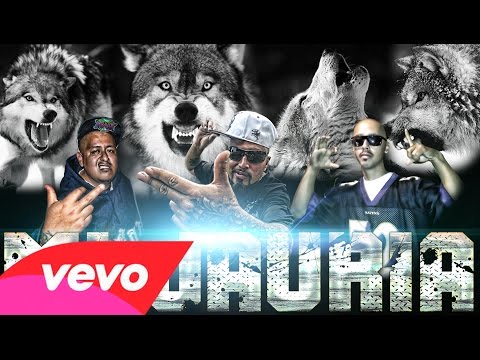 MI JAURIA // HEMAFIA// EL GANSTER//DON CERDO// SNOW// 2016