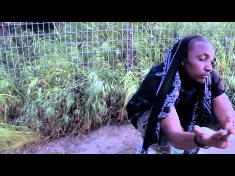 Virgo/Libra - Willie Joe