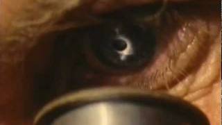 under the microscope//LEMON JELLY '79 (the shouty track)