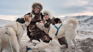 Epic Dogsledding and Fire Coffee - [Ilulissat, Greenland]