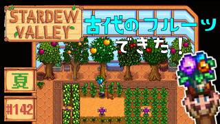 【Stardew Valley】2年目夏6日目 古代のタネを増やそう！ニヤリ【スタバレver1.6初見実況】