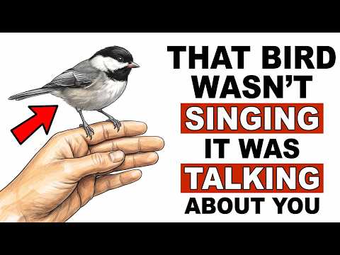 The Birds in Your Backyard Have Been Keeping a File on You (Here's What's In It)