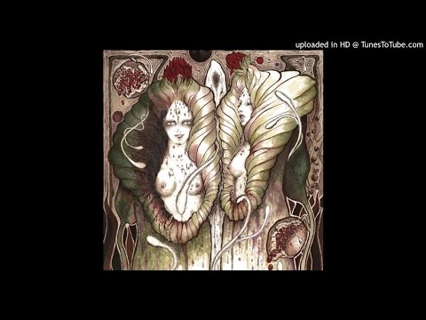 Nepenthes - Sorrow