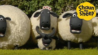 Think of the Children🐑 Shaun the Sheep 🐑 - Cartoons for Kids 🐑 Full Episodes Compilation [1 hour]