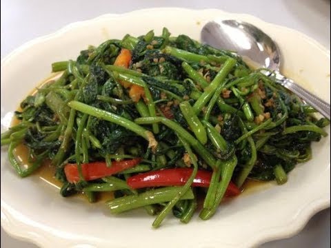 download lagu mp3 mp4 Recipe Kangkung Belacan, download lagu Recipe Kangkung Belacan gratis, unduh video klip Recipe Kangkung Belacan