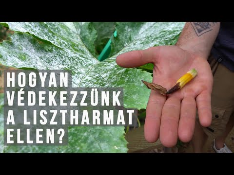 szódabikarbónával gyógyíthatja a pikkelysömöröt