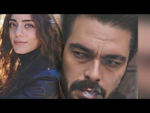 OBJAVA HALILA IBRAHIMA CEYHANA - KAMEN KOJI BACIS - PTICU KOJU UPLASIS!