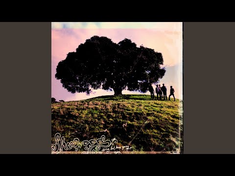Something Worth Knowing - Sherwood