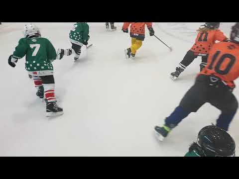 Vsk Udvarhely - Kiralypingvinek