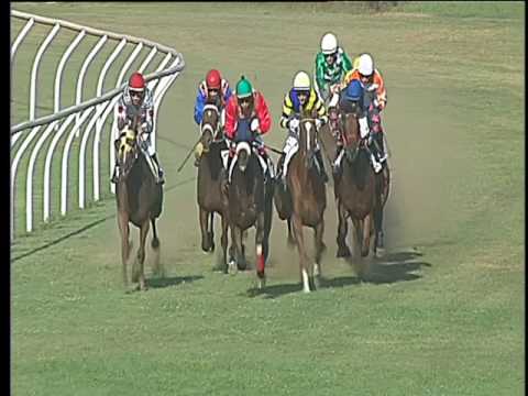 Galoppo 09/08/2017 - 1ª corsa