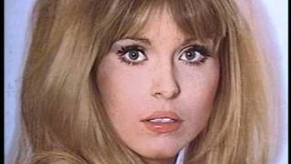 Peggy Lee - "The Alley Cat Song" - stereo 1963