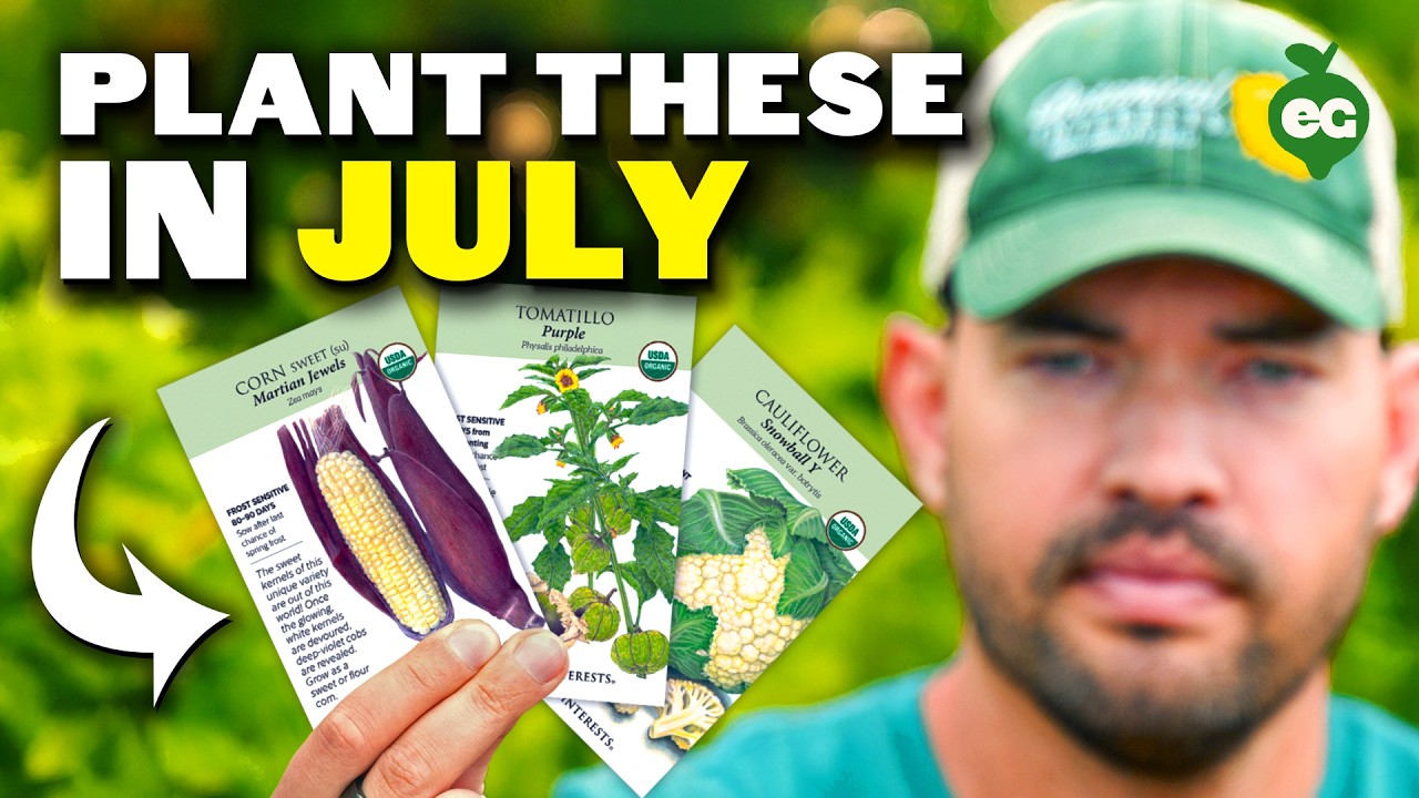 12 Crops You Can STILL Start In July RIGHT NOW!