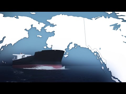 The 1989 US Exxon Oil Spill: Animated explainer