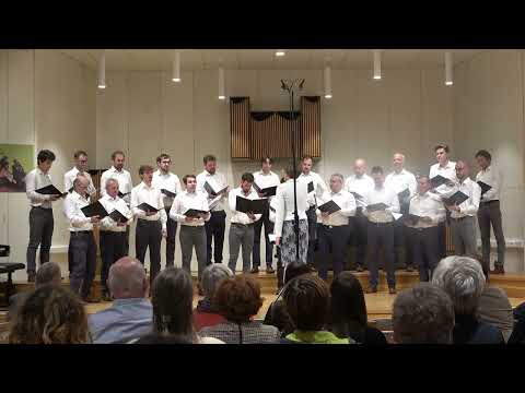 Regijsko tekmovanje odraslih pevskih zasedb Primorske 2025, MoPZ Alpina