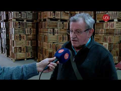 En el corazón del mercado de abasto- Parte 1