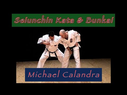 "Seiunchin Kata & Bunkai" Isshin-Ryu Karate Michael Calandra 2004