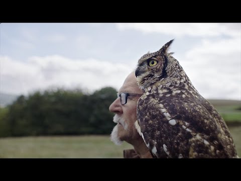 Interview mit Achim Häfner, dem "Falkner der Herzen". Lexware Traum-Kampagne