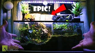 THE CRAZIEST ANT FARM I'VE EVER MADE!