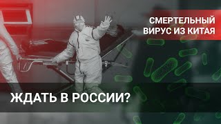 Смертельный вирус из Китая. Ждать в России?