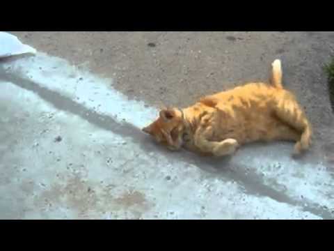 MY SWEETHEART MICHI.